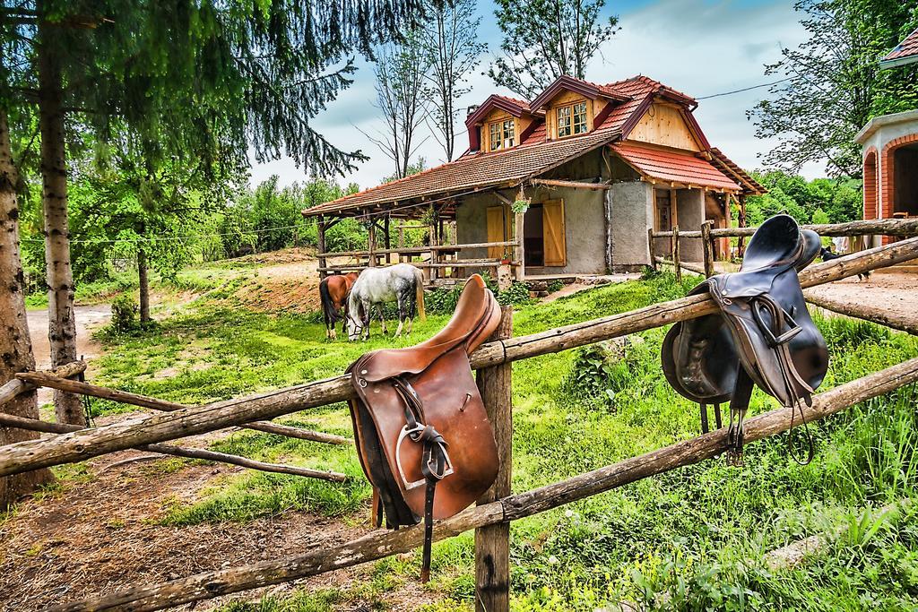 Apartments Fairy Land Rakovica Exteriör bild