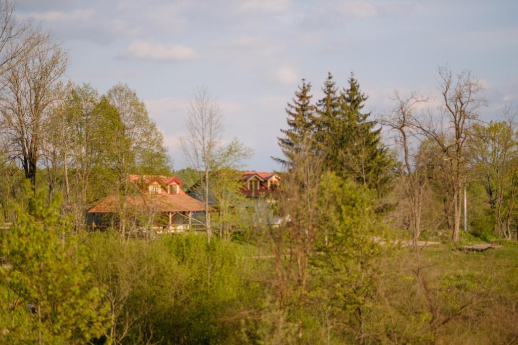 Apartments Fairy Land Rakovica Exteriör bild