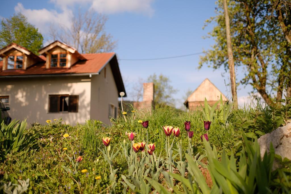 Apartments Fairy Land Rakovica Exteriör bild